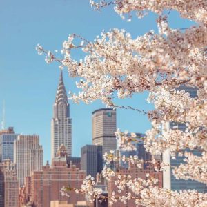 Viaggio di Gruppo a New York a Pasqua
