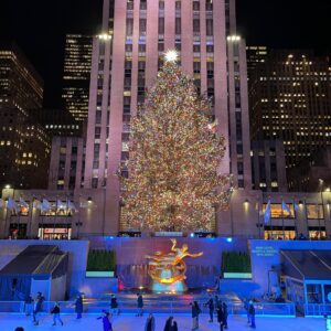 Natale a New York su misura per te - da Roma